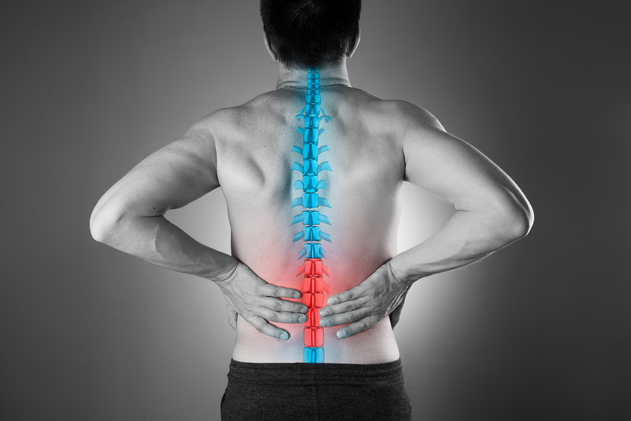 What is the thoracic spine and why is it important? - MyPhysio